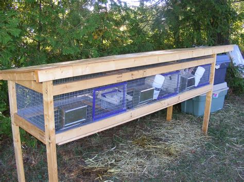 We built six. . Diy rabbit cage